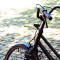 自転車保険・画像